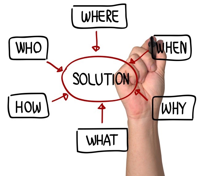 WSI Solution model